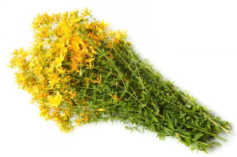 St. John's pith is used in the treatment of arthrosis